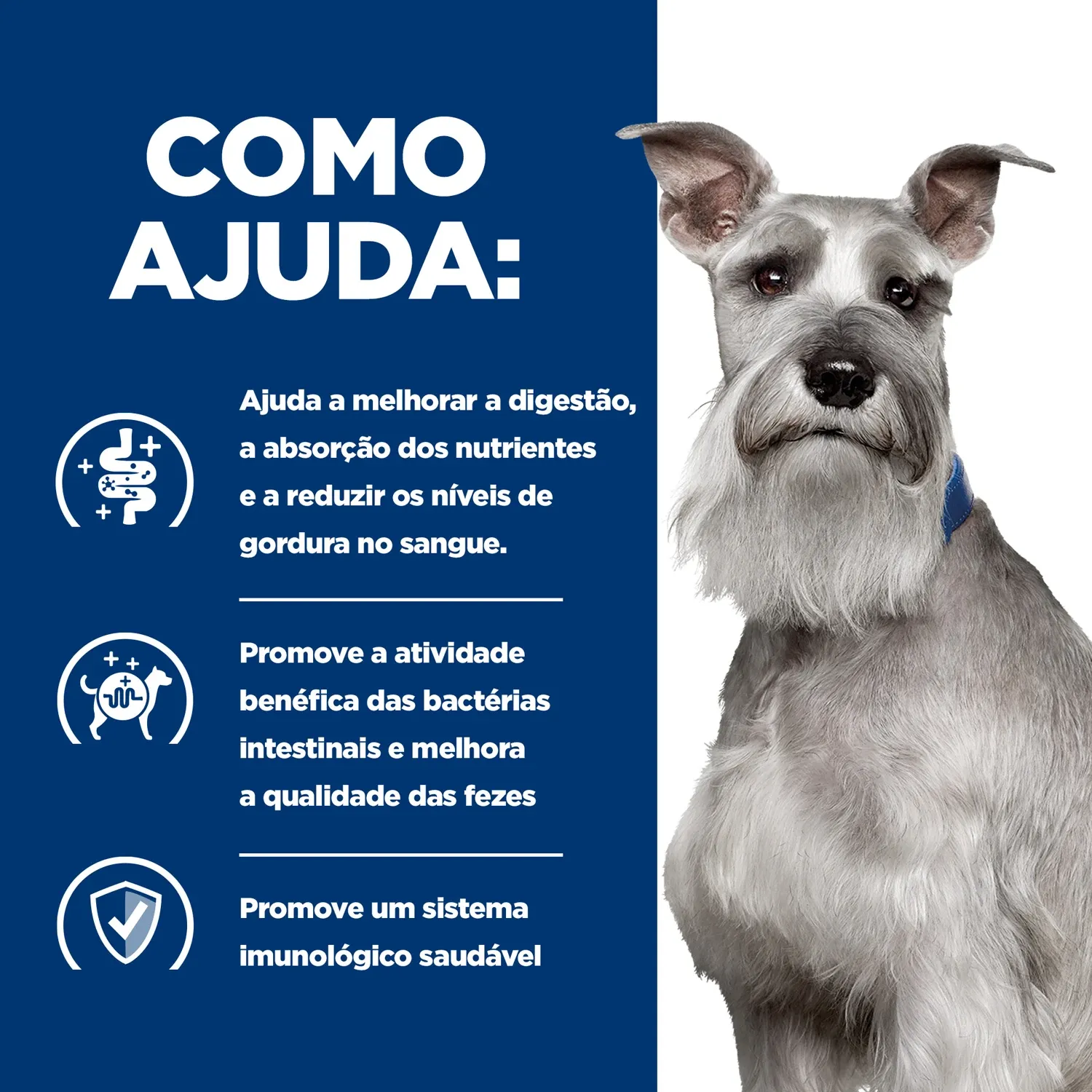 Como Ajuda.webp